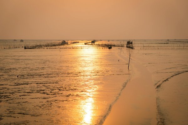 Comment organiser une visite des temples anciens de Kyoto, Japon?