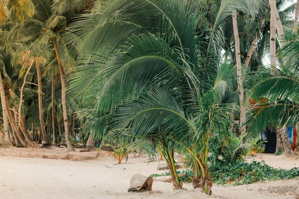 Où trouver une maison de vacances en Bretagne avec des cours de cuisine et des balades en bateau?