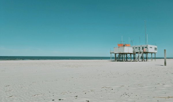 Où pratiquer le snorkeling au milieu des raies manta à Hawaii ?